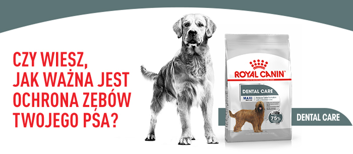  karma sucha dla psów dorosłych, ras dużych, redukująca powstawanie kamienia nazębnego